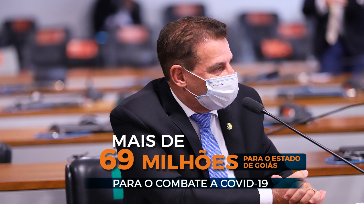 imagem da seção